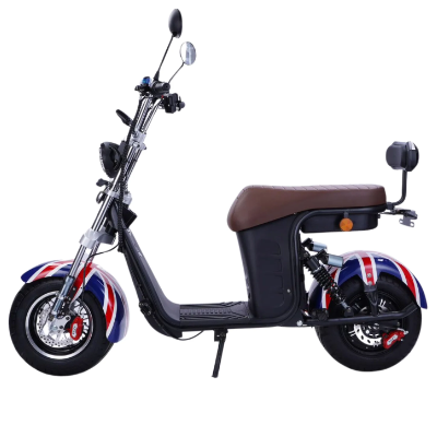 Scooter elétrica R-13 1000w - 3_Scooter-eletrica-R-13-1000w_20250109184145.jpg