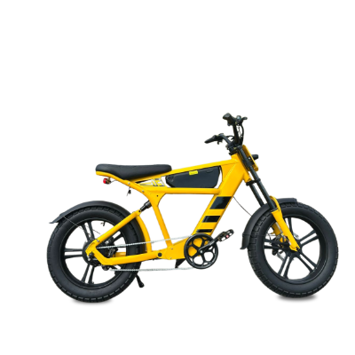 Bike Elétrica FT-03 1000W - 72_Bike-Eletrica-FT-03-1000W_20251211134230.jpg