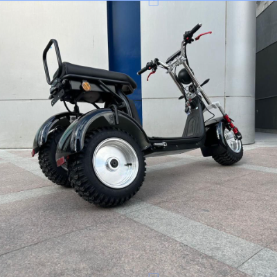 Triciclo X11 4000w - 79_Triciclo-X11-4000w_20251211113932.jpg