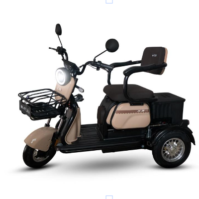 Triciclo Elétrico X3 - 650W - 80_Triciclo-Eletrico-X3-650W_20251127110833.jpg