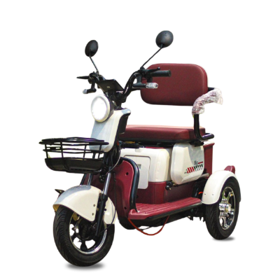 Triciclo BIG - 1000w - 94_Triciclo-BIG-1000w_20251211144443.jpg